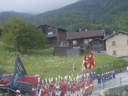 4.einmarsch-tpf.lk.jpg