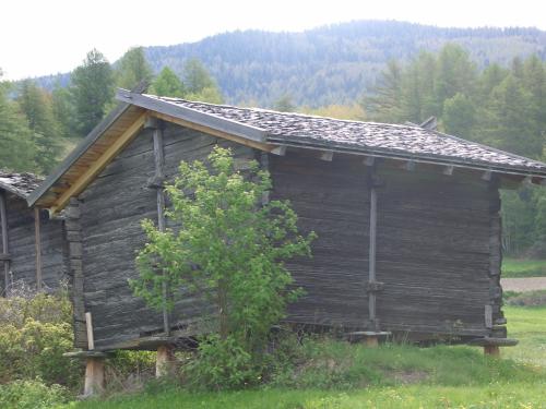 1997-stadol-zen-nessjern-2.jpg