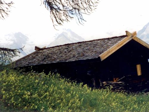 1998-schenu-haerd.jpg