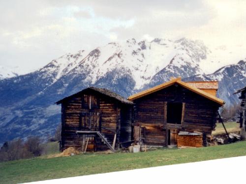 1999-zaer-niwu-schiir-mitte-1.jpg