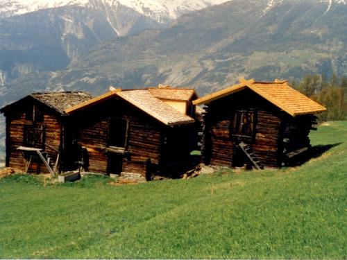 2000-zaer-niwu-schiir-oben-2.jpg